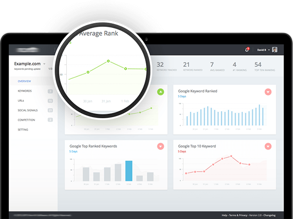 ayn seo report