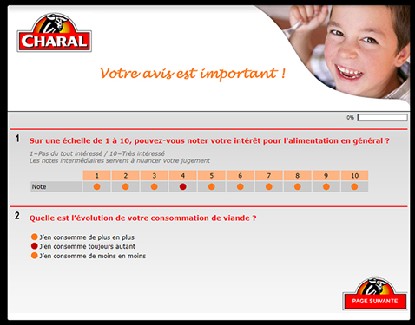 Personnalisation graphique du questionnaire